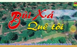 Khắp nơi ca hát: Bùi Xá quê tôi.