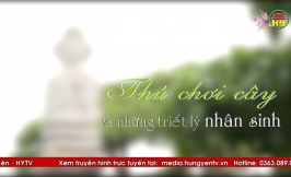 Thú chơi cây cảnh và những triết lý nhân sinh