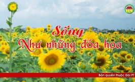 Phóng sự: Sống như những đóa hoa