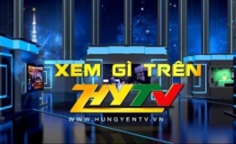 Xem gì trên HYTV 1/8 - 7/8/2020