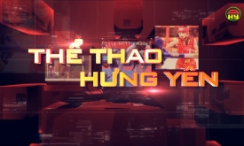 Xu hướng xây dựng sân cỏ nhân tạo thay thế sân cỏ tự nhiên