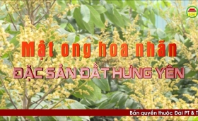 Đất và người Hưng Yên: Mật ong hoa nhãn - Đặc sản đất Hưng Yên