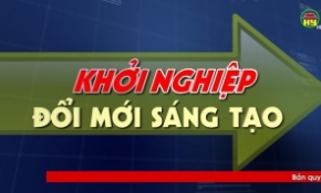 Áp dụng khoa học công nghệ trong chăn nuôi bò thịt