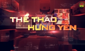 Xu hướng xây dựng sân cỏ nhân tạo thay thế sân cỏ tự nhiên