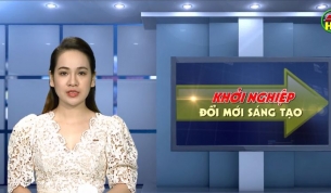  Áp dụng tiến bộ KHCN thâm canh nhãn cho hiệu quả cao