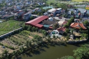 Cần sớm tiêu hủy lô chân gà đông lạnh gây ô nhiễm môi trường