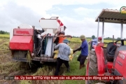 Chủ động ứng phó với bão số 11
