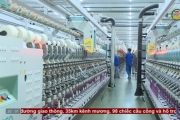 Doanh nghiệp tích cực hiện đại hóa sản xuất