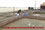 Giá trị sản xuất thủy sản đạt trên 700 tỷ đồng