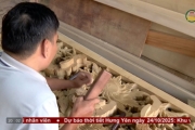 Người chiến thắng tật nguyền