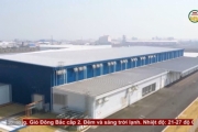 Nhiều dự án đầu tư vào Khu kinh tế Thái Bình