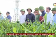 Tập trung giải phóng mặt bằng 2 dự án trọng điểm