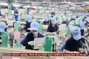Thể chế hóa các chính sách để kinh tế tư nhân phát triển