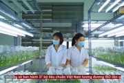 Ứng dụng khoa học công nghệ trong phát triển giống cây trồng