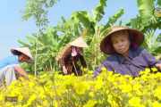 Đưa nghị quyết của Đảng vào cuộc sống 