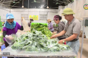 Kết nối thị trường tiêu thụ nông sản