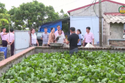 Lan tỏa tấm gương khởi nghiệp của phụ nữ