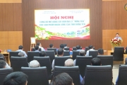 Mở rộng chỉ dẫn địa lý sản phẩm nhãn lồng Hưng Yên
