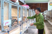 Nông dân Việt Nam xuất sắc tỉnh Hưng Yên