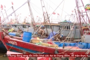 Ngư dân ven biển chuẩn bị vươn khơi đầu năm