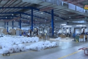 Doanh nghiệp FDI sản xuất sôi động