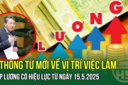 2 Thông tư mới về vị trí việc làm, xếp lương có hiệu lực từ ngày 15.5.2025