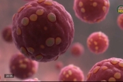 Hưng Yên chủ động phòng, chống dịch bệnh do virus Hanta