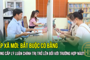 CẤP XÃ MỚI: Bắt buộc có bằng trung cấp lý luận chính trị trở lên đối với trường hợp nào?