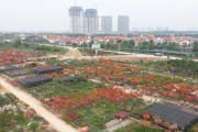 Hình thành các vùng chuyên canh sau sắp xếp xã
