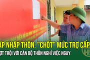 SÁP NHẬP THÔN: 