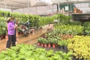 Thúc đẩy bảo hộ sở hữu trí tuệ cho nông dân