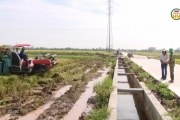 Đầu tư hạ tầng phục vụ sản xuất nông nghiệp 