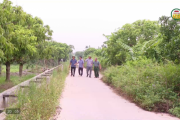  Giải phóng mặt bằng Dự án sân Golf Khoái Châu
