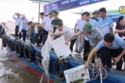 Hưởng ứng Ngày Đại dương thế giới 
