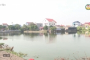  Quyết liệt ngăn chặn san lấp ao, hồ