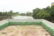 Thực trạng san lấp ao hồ