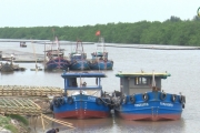 Các hộ nuôi trồng thủy sản ứng phó với bão