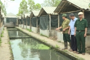 Cựu chiến binh tiên phong trên mặt trận phát triển kinh tế