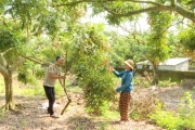 Sản xuất nhãn an toàn, chất lượng