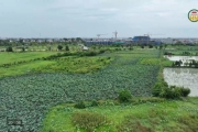 Giải phóng mặt bằng dự án đô thị mới Sen Hồ