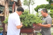 Hướng đi mới của Hợp tác xã Tỷ Phú