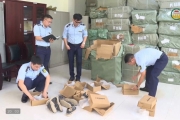 Tăng cường bảo vệ quyền sở hữu trí tuệ
