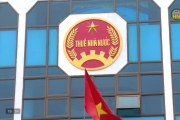 Thu ngân sách - bệ đỡ cho tăng trưởng