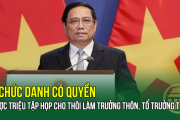 2 chức danh có quyền được triệu tập họp cho thôi làm Trưởng thôn, Tổ trưởng TDP?