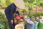 Biến rác thải thành phân bón hữu cơ
