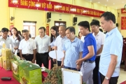 Giải pháp nâng cao giá trị các giống nhãn đặc sản