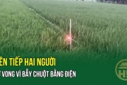Hưng Yên liên tiếp xảy ra các vụ bẫy chuột bằng điện gây chết người