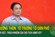Trưởng thôn, Tổ trưởng Tổ dân phố thôi việc, trách nhiệm của Chủ tịch UBND xã?