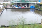 Bảo vệ vùng nuôi thủy sản 
