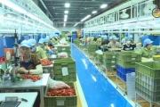 Đảm bảo kế hoạch sản xuất trước kỳ nghỉ lễ 2/9